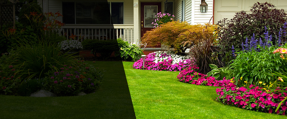 Walterboro Landscapers