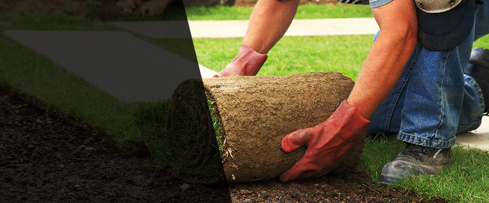 Walterboro Landscapers